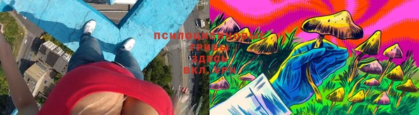 apvp Бугульма