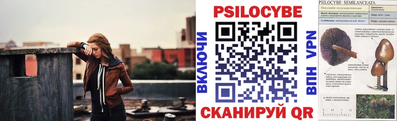 как найти закладки  Дзержинск  Галлюциногенные грибы мицелий 