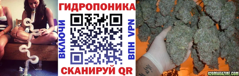 где купить наркотик  Дзержинск  Шишки марихуана индика 